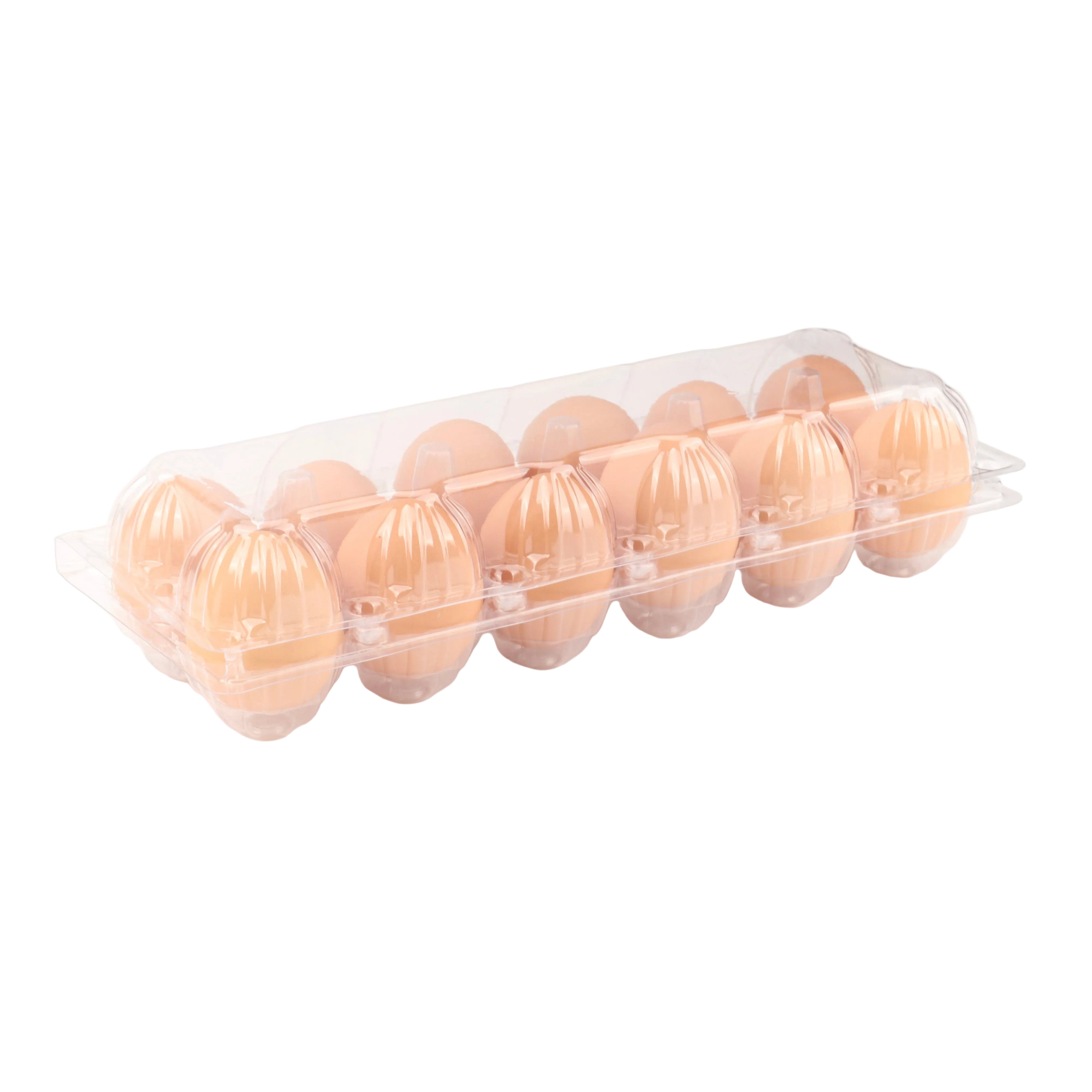 12 count clear PET egg carton 2x6 for wholesale egg packaging
