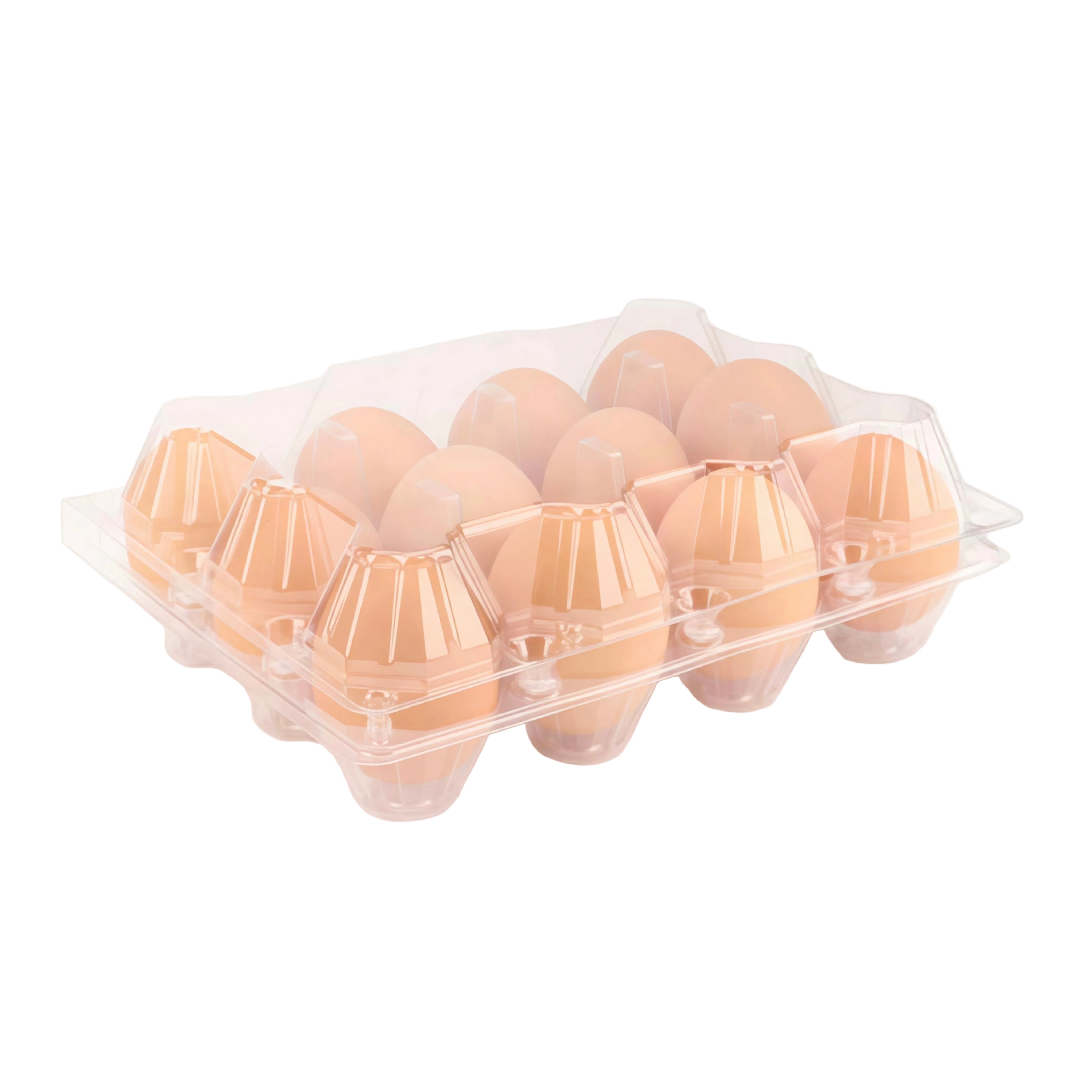 12 count clear PET egg carton 3x4 for farms distributors and retailers