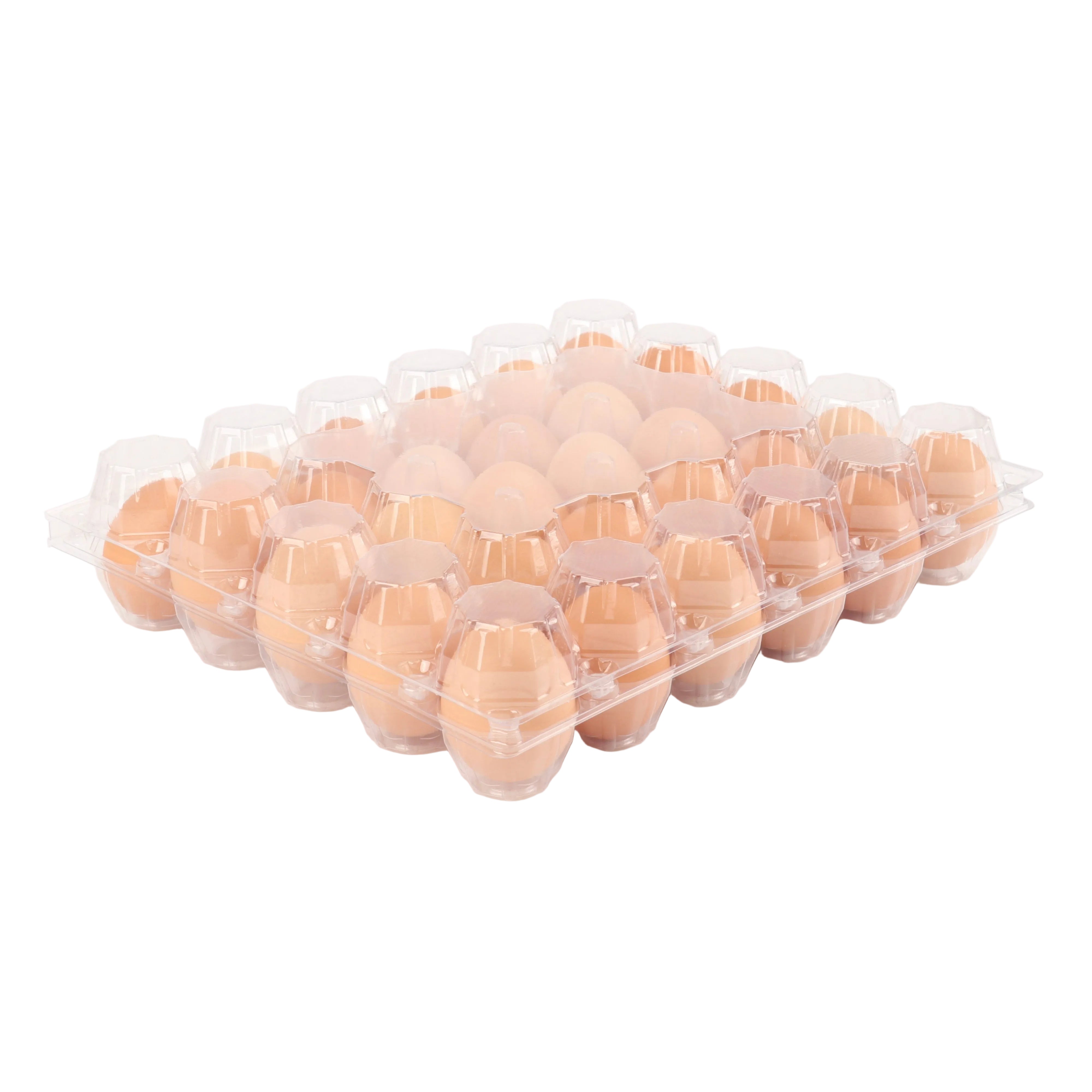 30 count clear PET egg carton 5x6 for bulk egg packaging