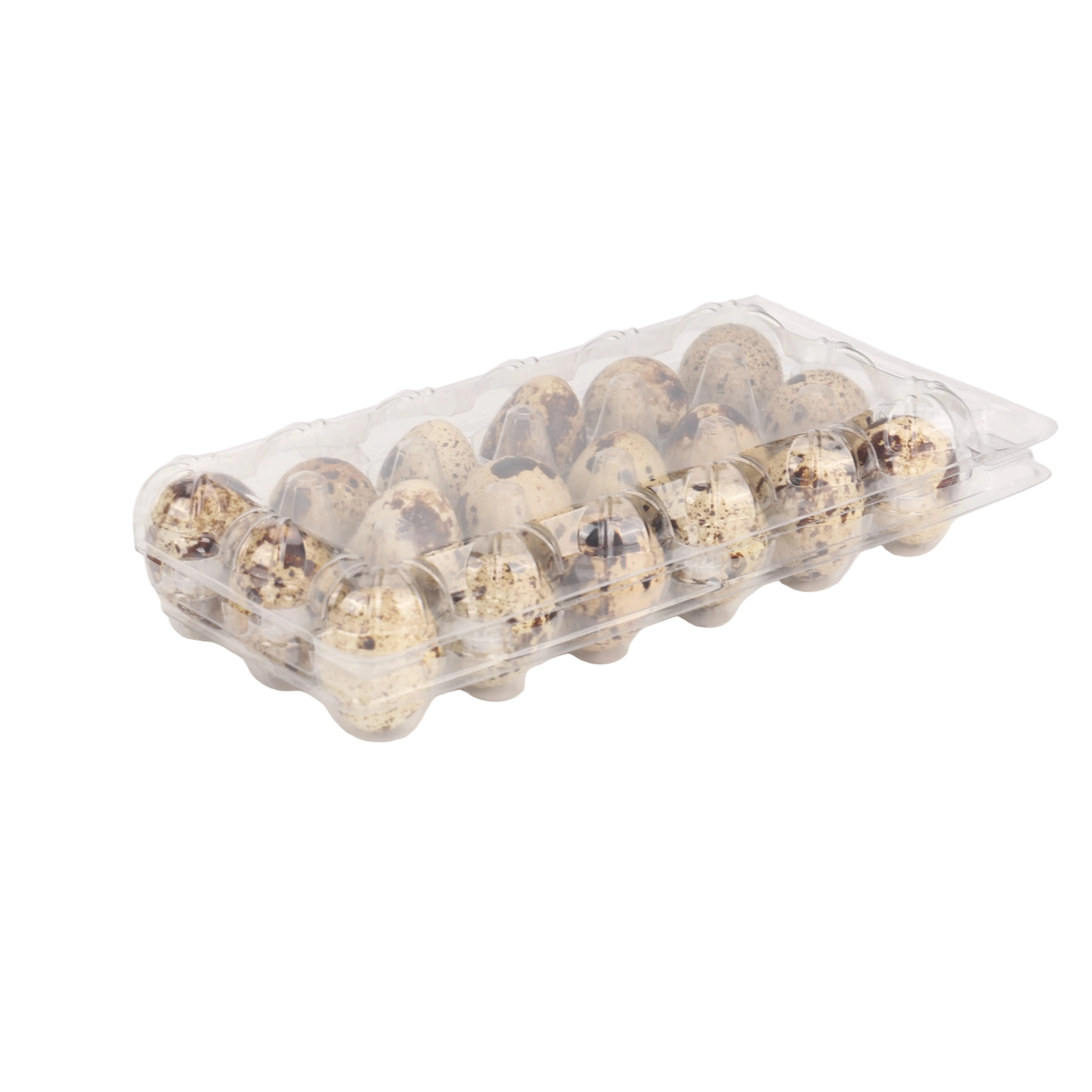 36 count clear PET quail egg carton for wholesale quail egg packaging