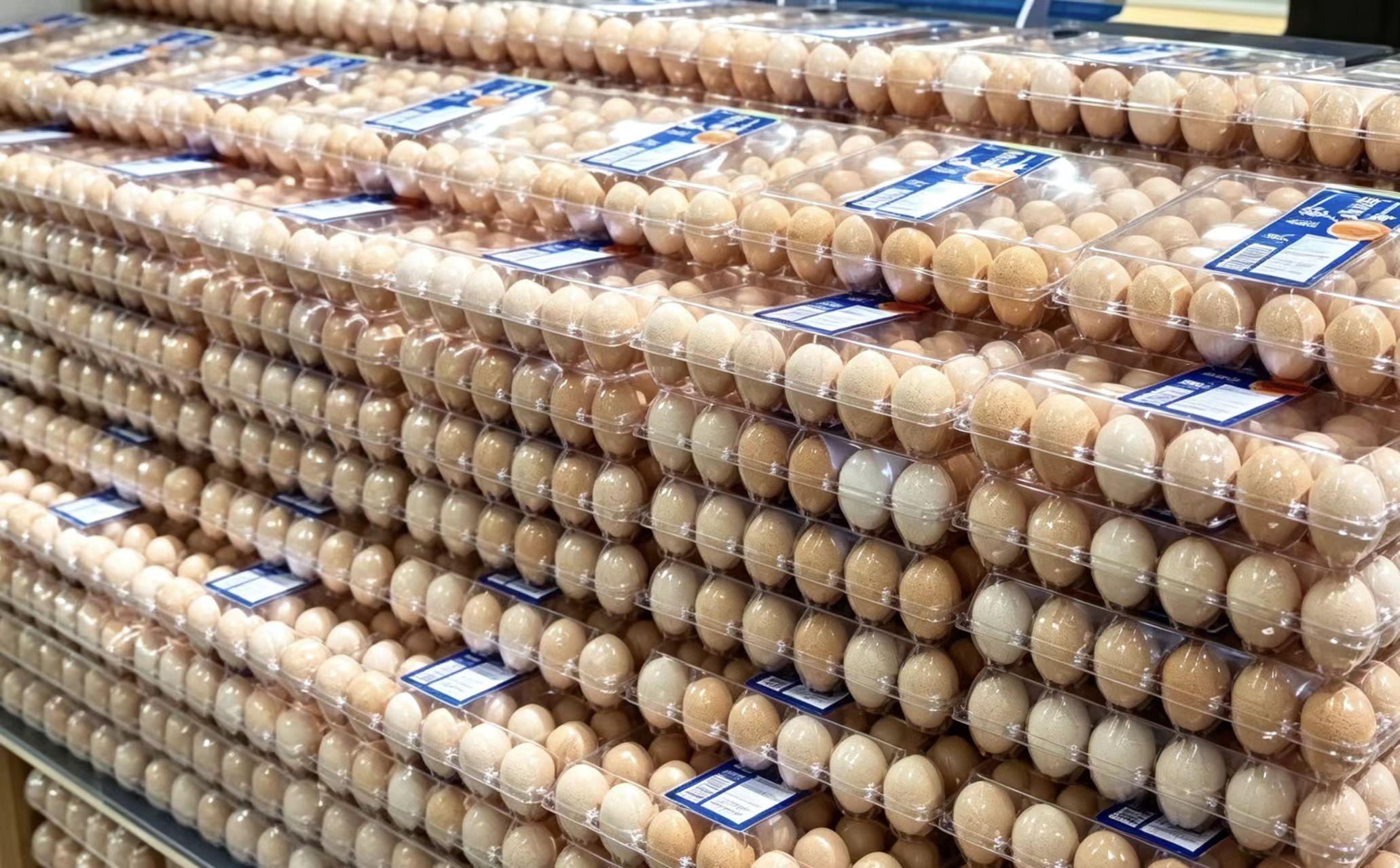 For Supermarkets 
& Egg Suppliers
